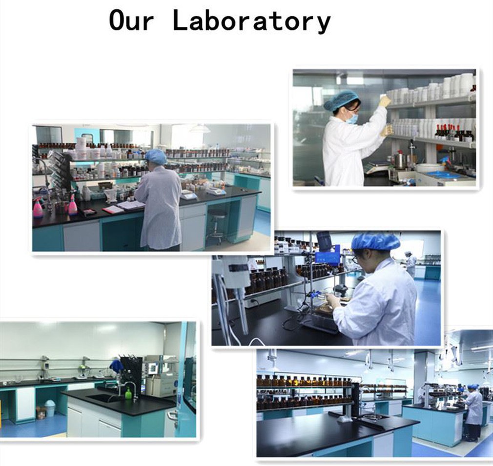 our labortory our labortory